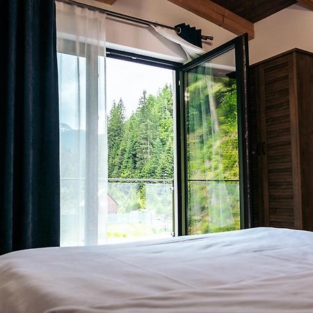 Cabana Nemtucu Borşa Extérieur photo