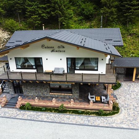 Cabana Nemtucu Borşa Extérieur photo