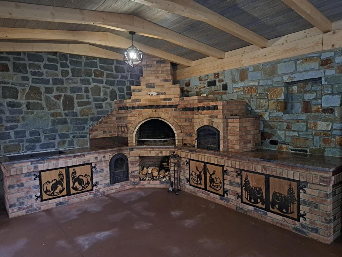 Cabana Nemtucu Borşa Extérieur photo