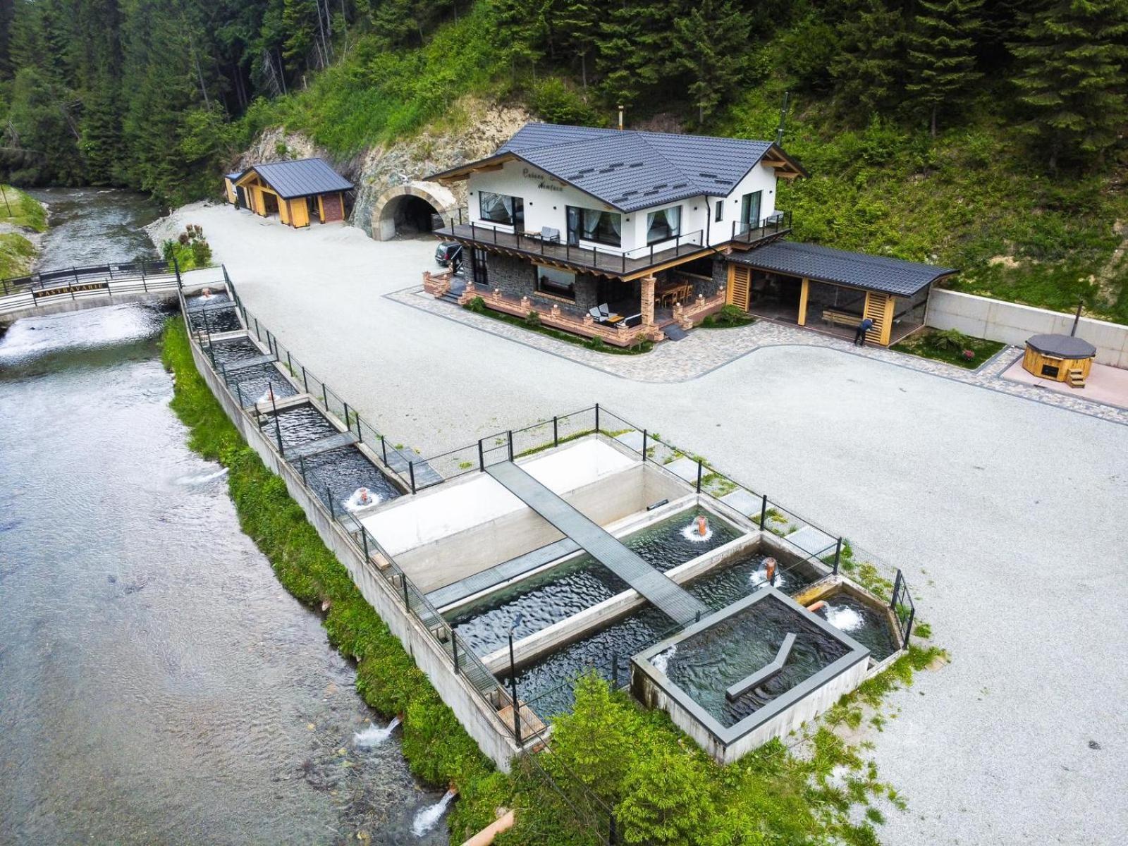 Cabana Nemtucu Borşa Extérieur photo