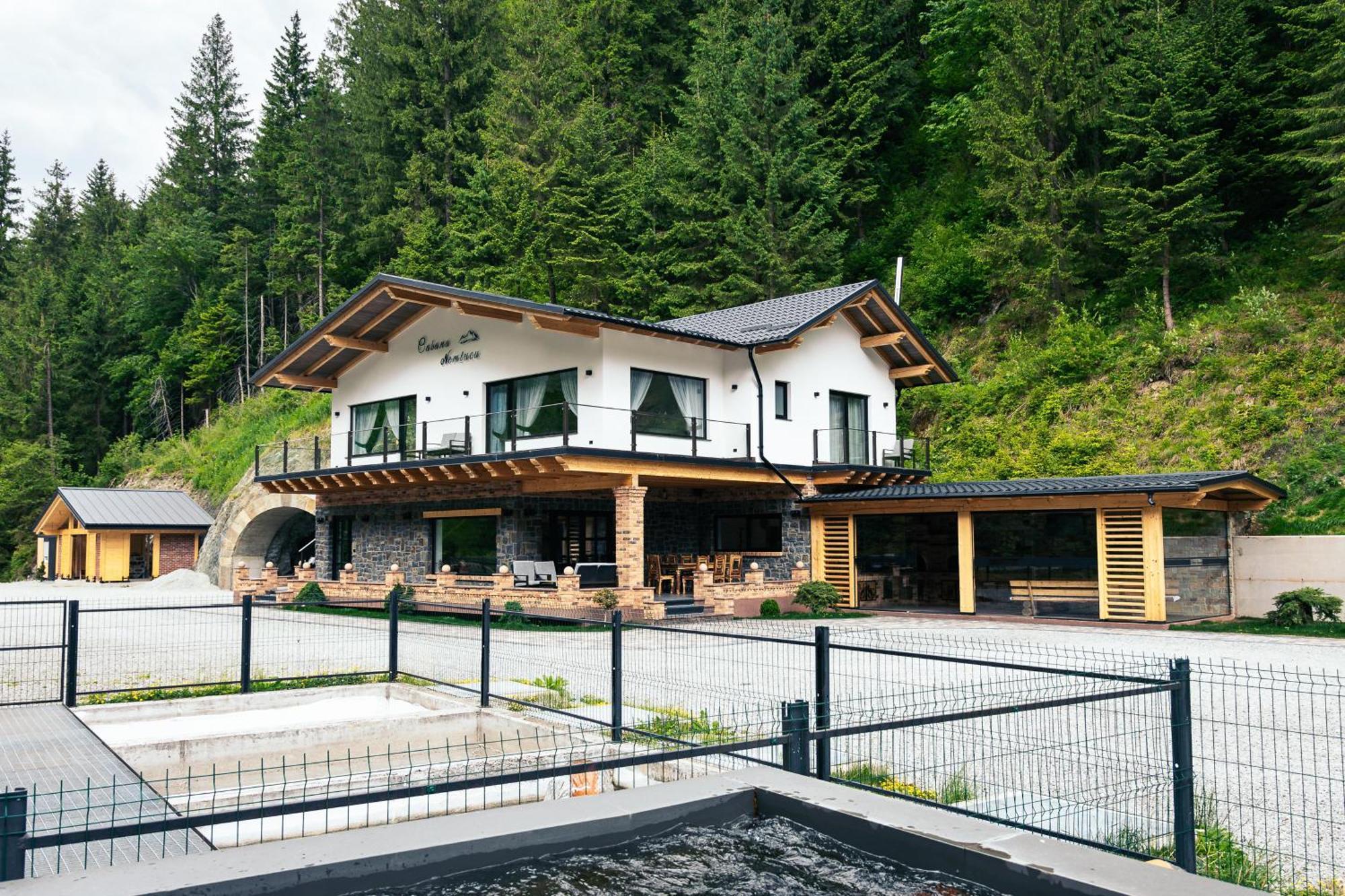 Cabana Nemtucu Borşa Extérieur photo