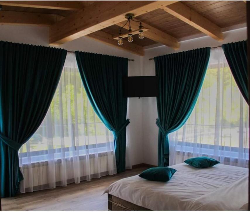 Cabana Nemtucu Borşa Extérieur photo