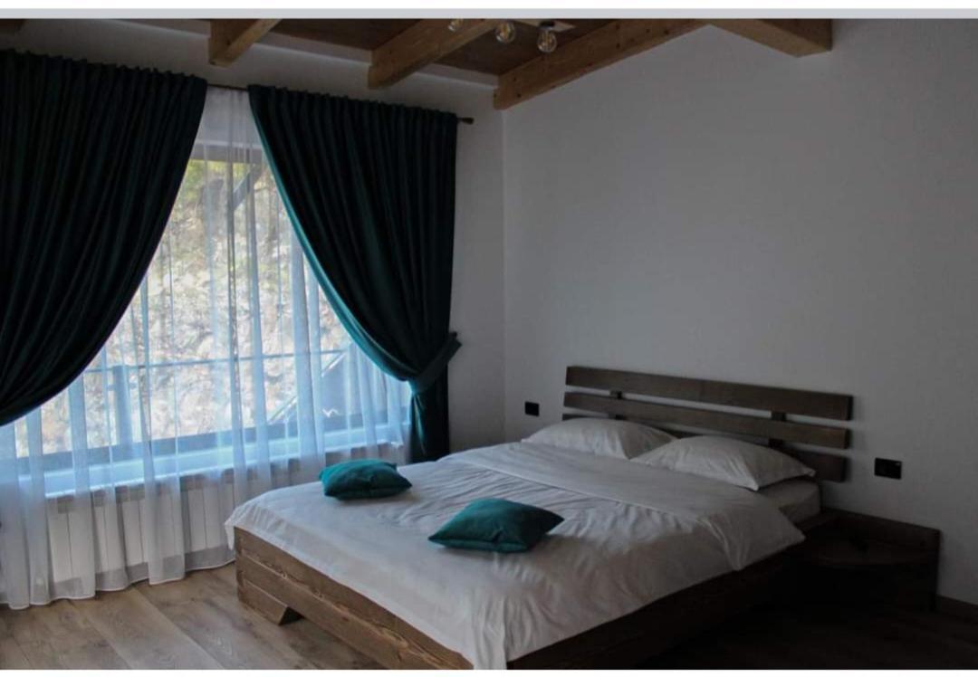Cabana Nemtucu Borşa Extérieur photo